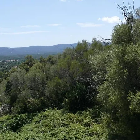 A Vecchio 28 M² Avec Piscine Apartman Porto-Vecchio